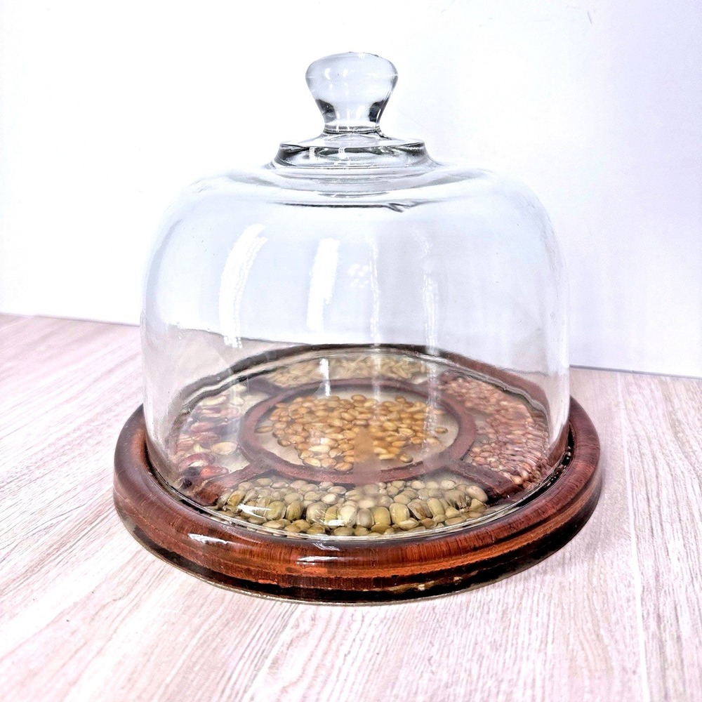 Gamut Design Glass Cloche Dome Wood Base‎ Seed Display Vintage Terrarium